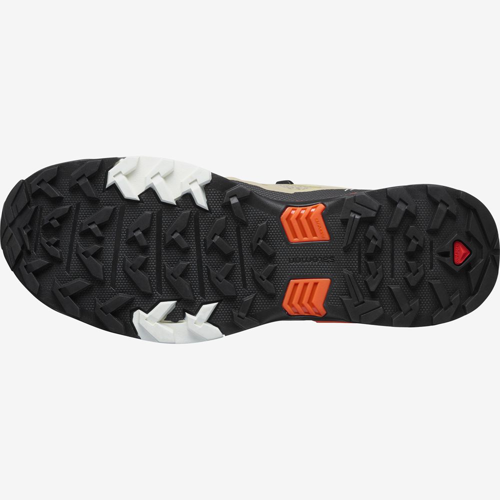 Beige Men's Salomon X ULTRA 4 Hiking Shoes | 753-NAYFJB