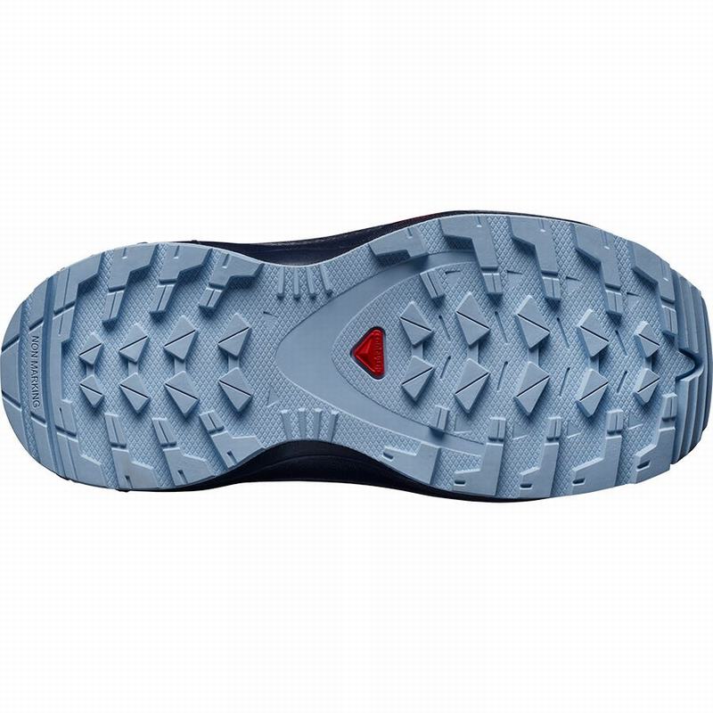 Blue Indigo / Blue Kids' Salomon XA PRO 3D K Hiking Shoes | 053-PSDNZJ