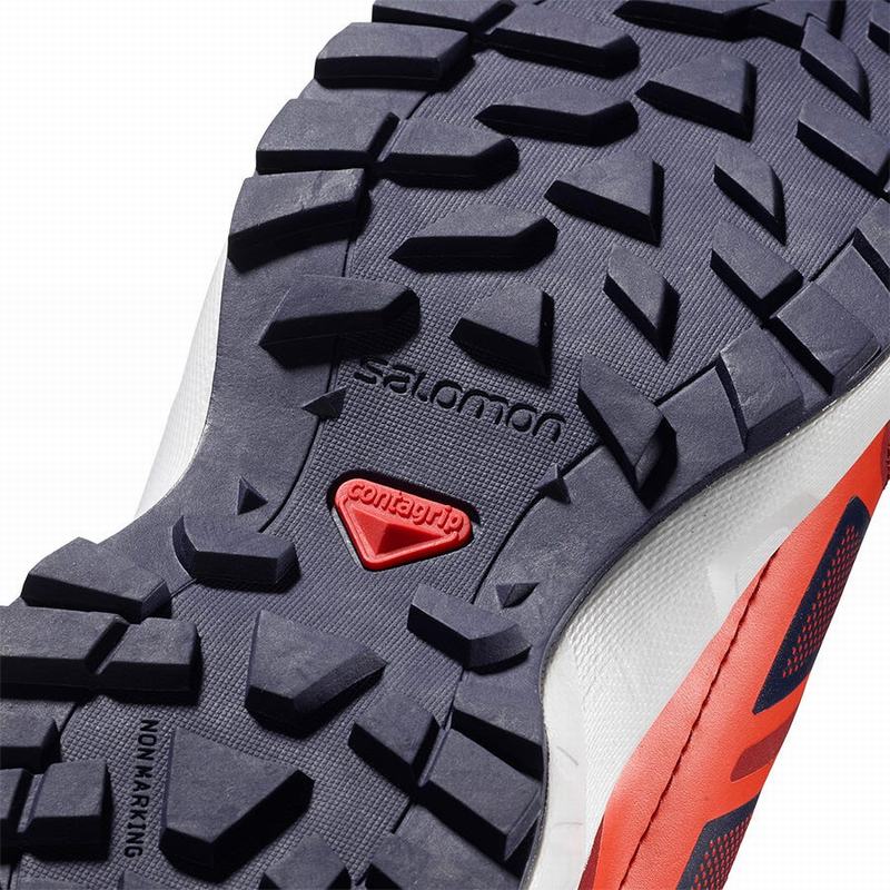 Blue / Red Kids' Salomon SENSE J Running Shoes | 372-MJZAYO
