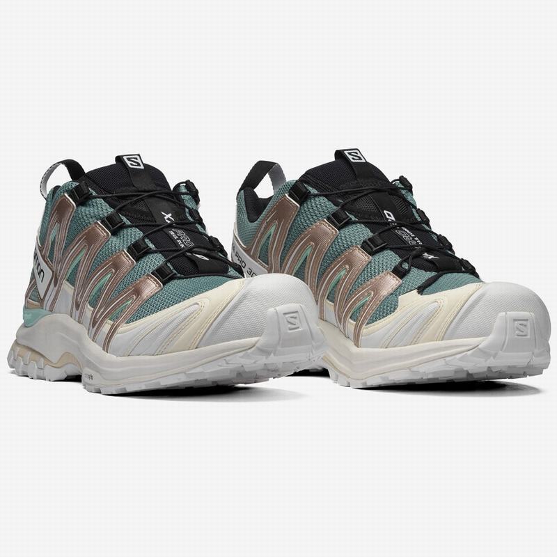 Turquoise / Brown Turquoise Men's Salomon XA PRO 3D Trail Running Shoes | 930-TBXWCD