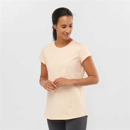 Beige Women's Salomon OUTLIFE SCOOP HEM W Short Sleeve T Shirts | 730-IDRMWZ