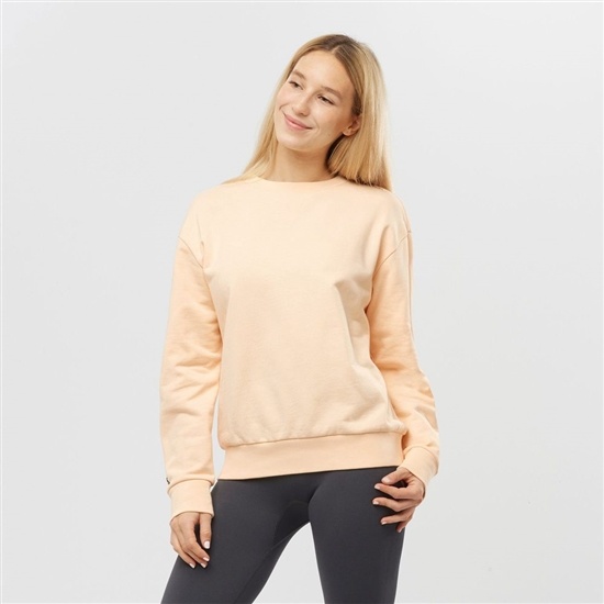 Beige Women's Salomon OUTLIFE SUMMER Crewneck Pullover | 694-QGJUSD