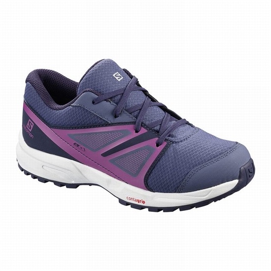 Blue Kids' Salomon SENSE CLIMASALOMON WATERPROOF Running Shoes | 025-ALXCSU