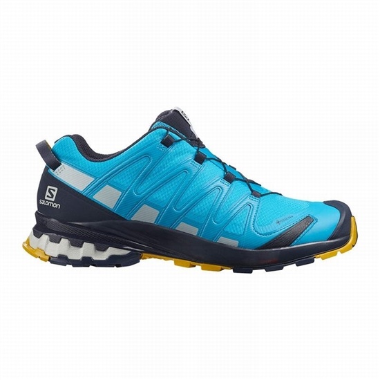 Blue Men's Salomon XA PRO 3D V8 GORE-TEX Hiking Shoes | 481-UQKIVD