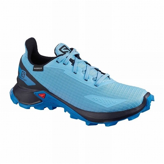 Blue / Navy Kids' Salomon ALPHACROSS BLAST CLIMASALOMON WATERPROOF Trail Running Shoes | 735-YRXVSB