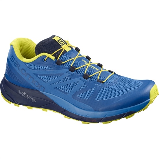 Blue / Navy Men's Salomon SENSE RIDE Trail Running Shoes | 320-AQVWMB