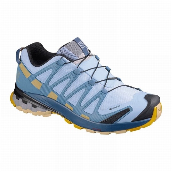 Blue Women's Salomon XA PRO 3D V8 GORE-TEX Hiking Shoes | 219-KBSHJO
