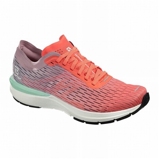 Brown / White Women's Salomon SONIC 3 ACCELERATE W Running Shoes | 687-IWKTJG