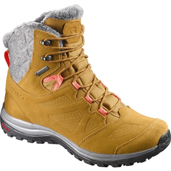 Brown Women's Salomon ELLIPSE GTX Winter Boots | 910-JIZXBH