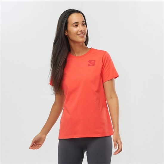 Coral Women's Salomon OUTLIFE SMALL LOGO SS W Short Sleeve T Shirts | 159-CXMDGP