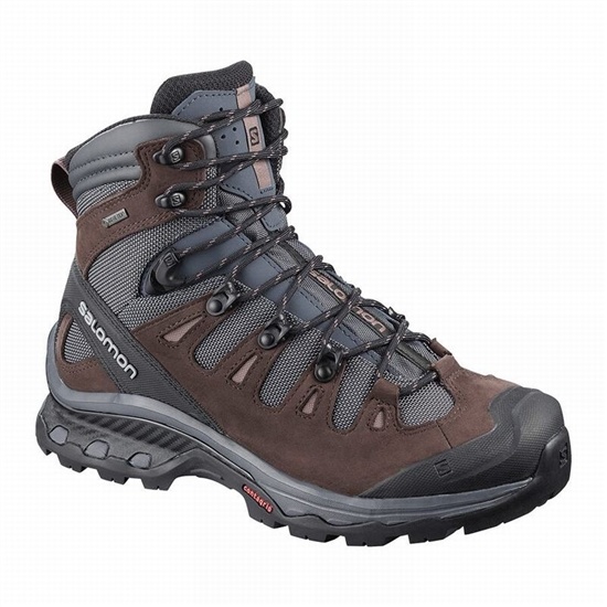 Dark Blue / Chocolate Purple Women's Salomon QUEST 4D 3 GTX W Hiking Boots | 684-MWTNYG