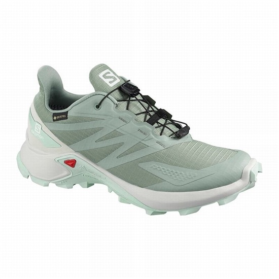 Green Women's Salomon SUPERCROSS BLAST GTX W Trail Running Shoes | 923-HWSQCY