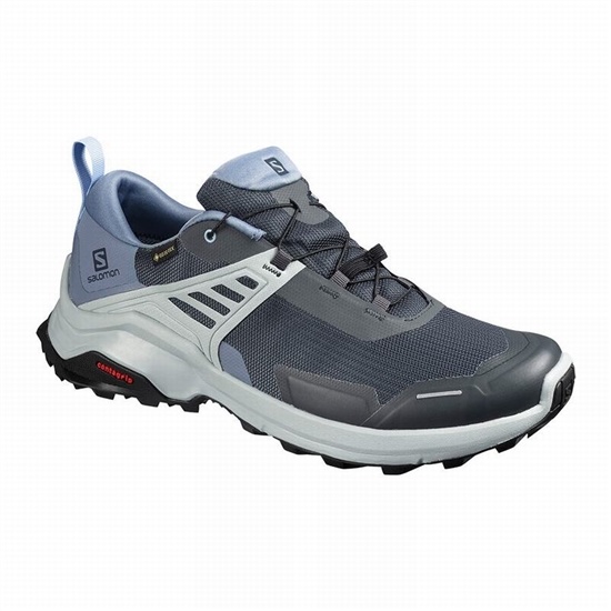 Grey / Blue Men's Salomon X RAISE GORE-TEX Hiking Shoes | 032-NFSLMU