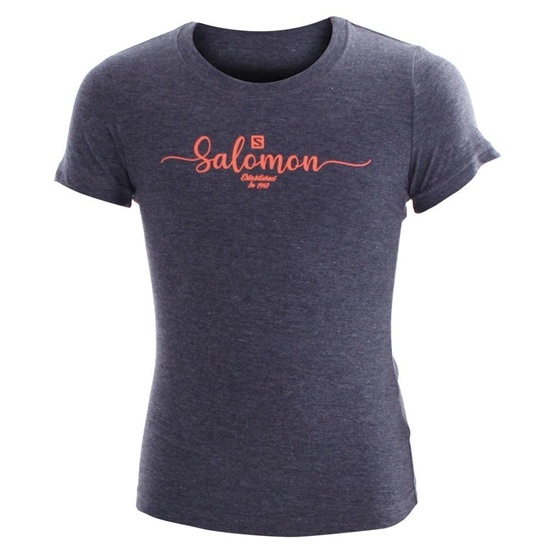 Grey Kids' Salomon VINTAGE SS G T Shirts | 579-XHCIMQ