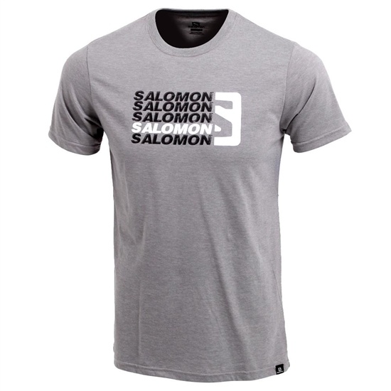 Grey Men's Salomon STANDOUT SS M T Shirts | 687-AZITUG