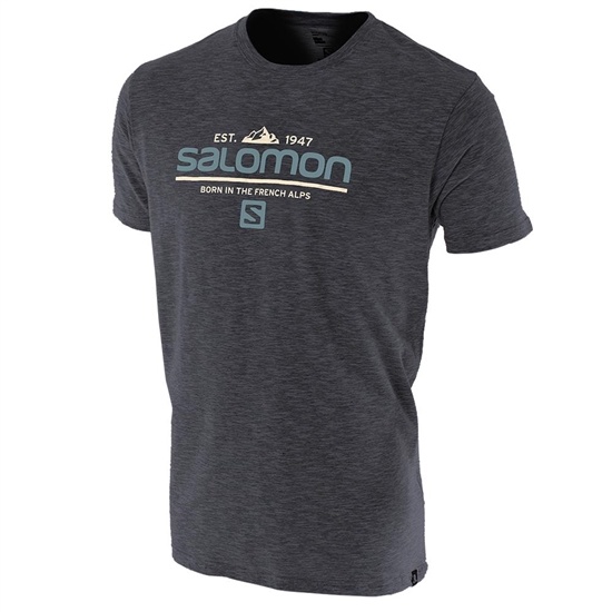 Grey Men's Salomon VISIONARY SS M T Shirts | 847-OTQMLW