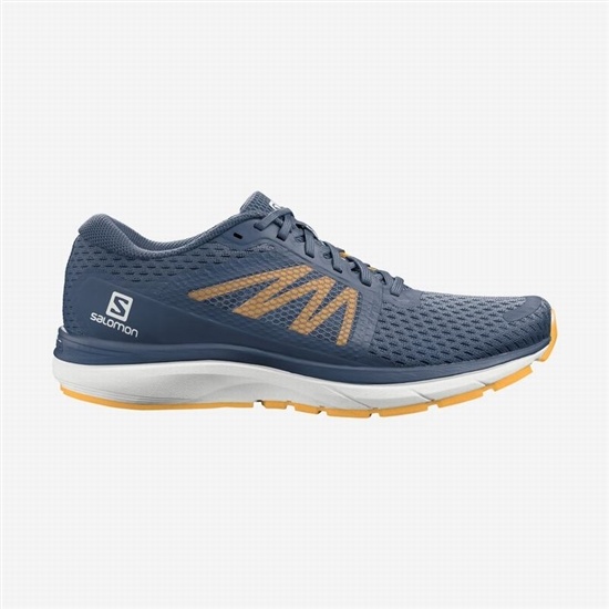 Navy / White Men's Salomon VECTUR Running Shoes | 624-HZAUBP