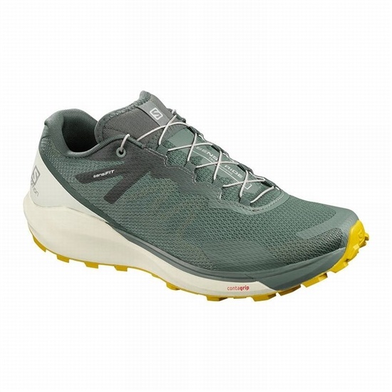 Olive Men's Salomon SENSE RIDE 3 Trail Running Shoes | 013-YQRDSG