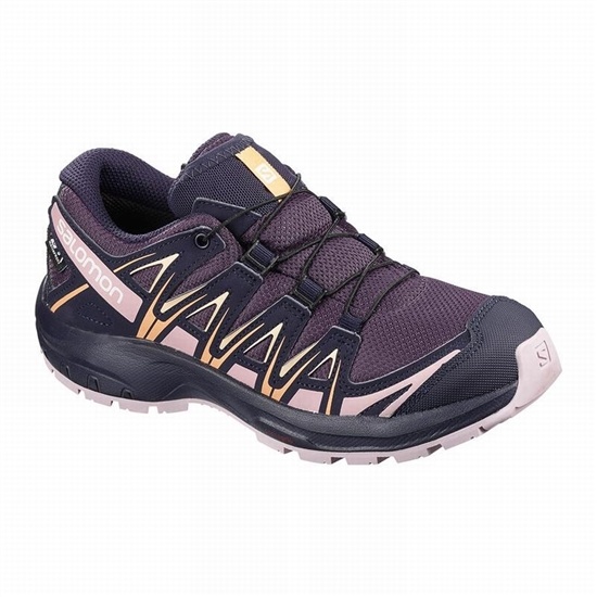 Purple / Blue Kids' Salomon XA PRO 3D CLIMASALOMON WATERPROOF Hiking Shoes | 986-XVGYUW